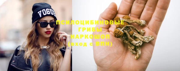 СК Верхний Тагил