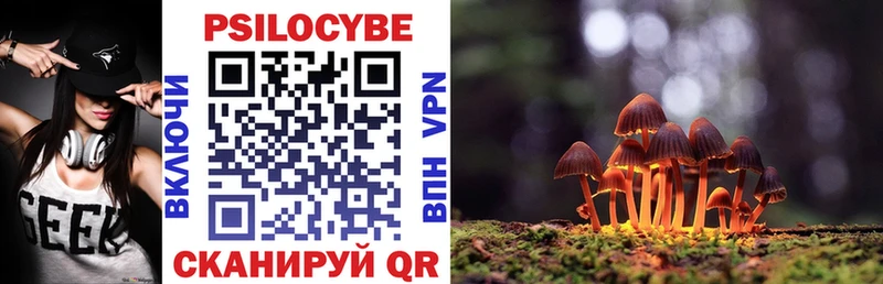 Купить  Любим  Псилоцибиновые грибы Cubensis 